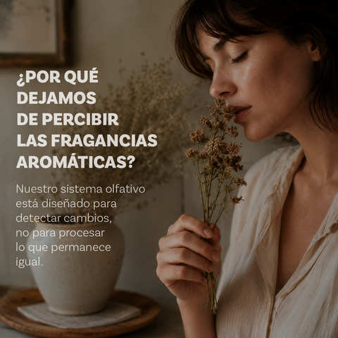 ¿Por qué dejamos de percibir los aromas con el paso del tiempo?
